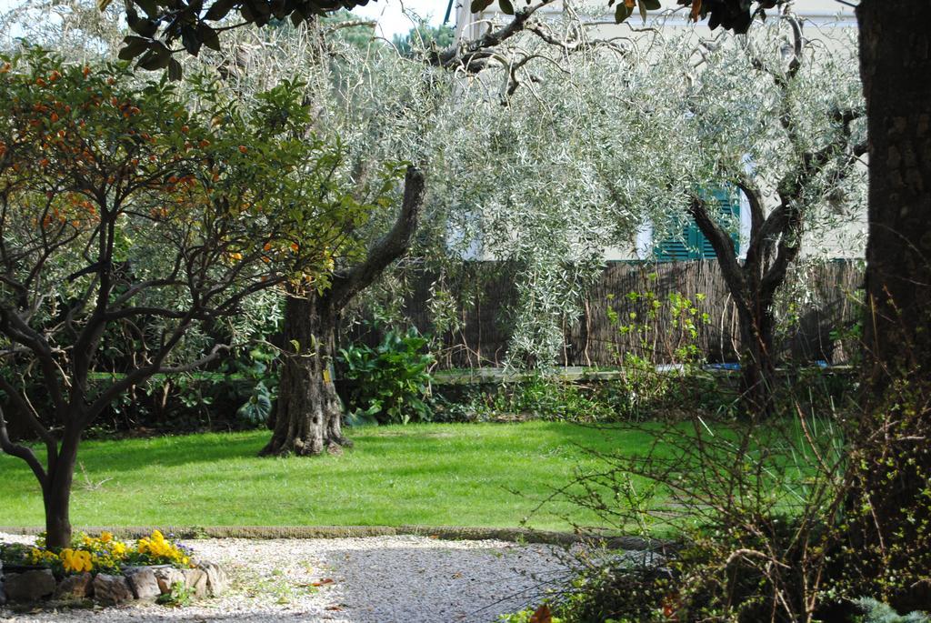 Casa Simonetti Bed and Breakfast Torre del Lago Puccini Exteriör bild